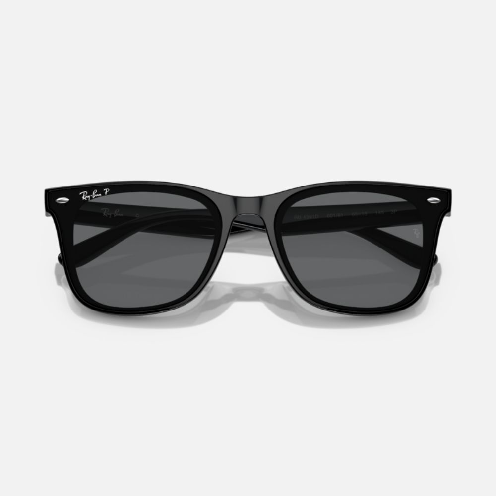 RAY BAN 雷朋 膠框偏光太陽眼鏡(RB4391D-601/9A、601/81 65mm 偏光鏡片)