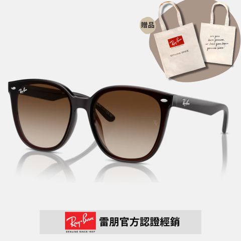 RAY BAN 雷朋 2024新品修顏膠框太陽眼鏡(RB4423D-714/13 66mm 漸層鏡片)