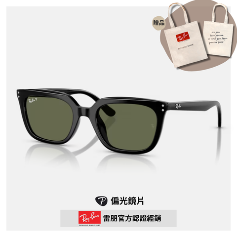 RAY BAN 雷朋 方形膠框偏光太陽眼鏡(RB4439D-901/9A 54mm)