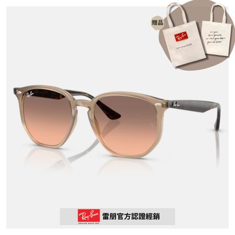 RAY BAN 雷朋 六角形膠框太陽眼鏡(RB4306F-678846 54mm)