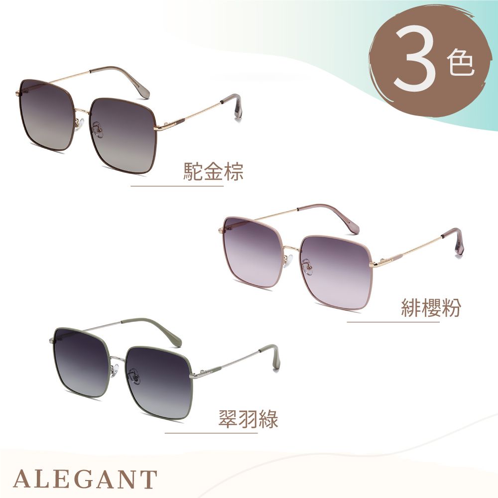ALEGANT 優雅時尚漸層方框寶麗來偏光墨鏡/UV400太陽眼鏡