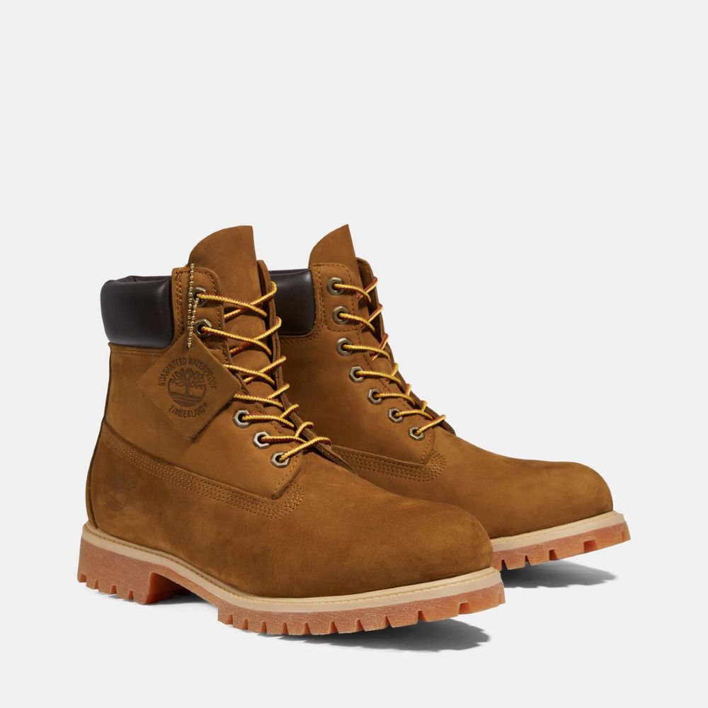 Timberland  男款深小麥色防水6吋休閒靴|72066EBL