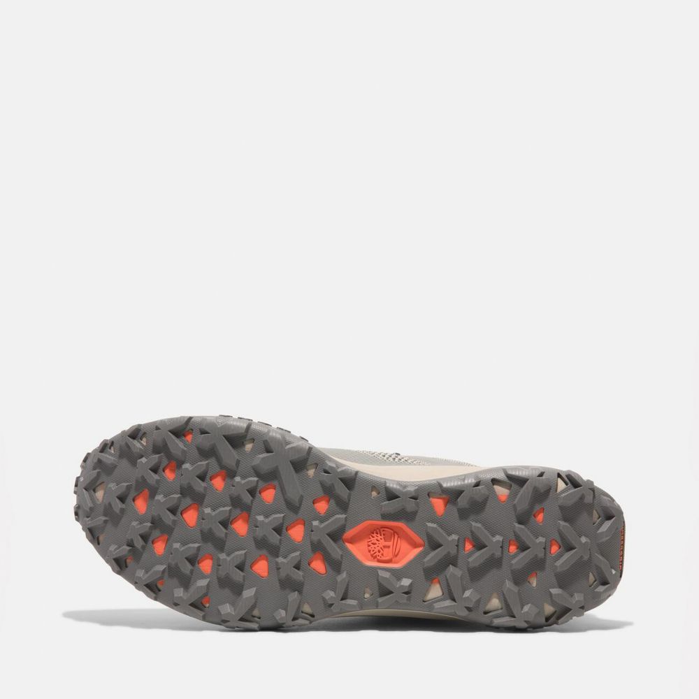 Timberland  男款淺灰色Motion Access低筒健行鞋|A6DJKEX1