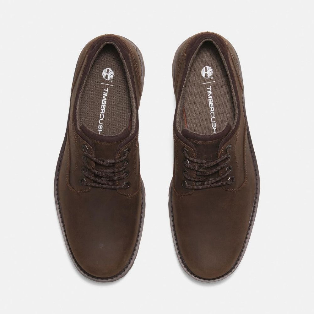 Timberland 男款深棕色皮革防水休閒鞋｜A69T9W01
