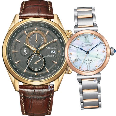 CITIZEN 星辰 Eco-Drive 相伴一生光動能對錶-AT8263-10H+EM1074-82D