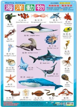 海洋動物掛圖（捲式）