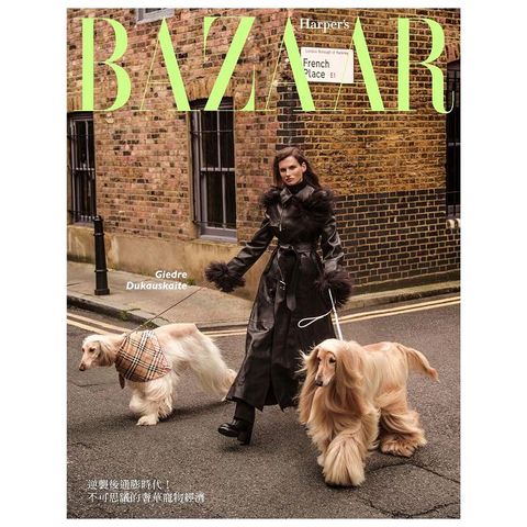 Harper’s BAZAAR 哈潑時尚_第416期(2024/10)