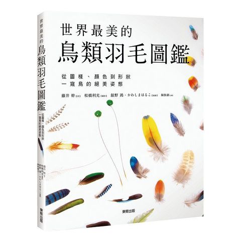 世界最美的鳥類羽毛圖鑑：從圖樣、顏色到形狀一窺鳥的絕美姿態