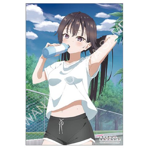 不時輕聲地以俄語遮羞的鄰座艾莉同學（動畫）B2掛軸 B