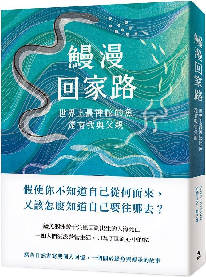  鰻漫回家路：世界上最神祕的魚，還有我與父親