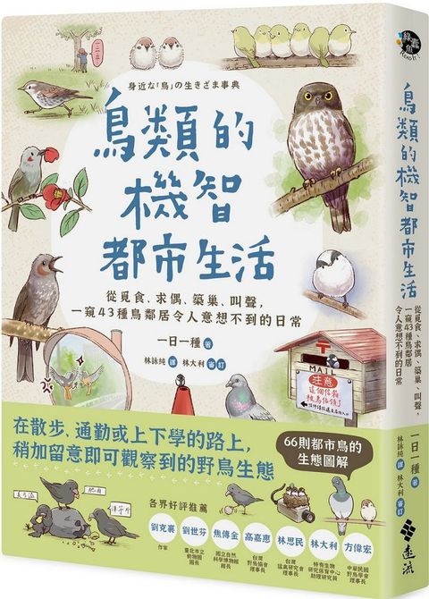 鳥類的機智都市生活：從覓食、求偶、築巢、叫聲，一窺43種鳥鄰居令人意想不到的日常