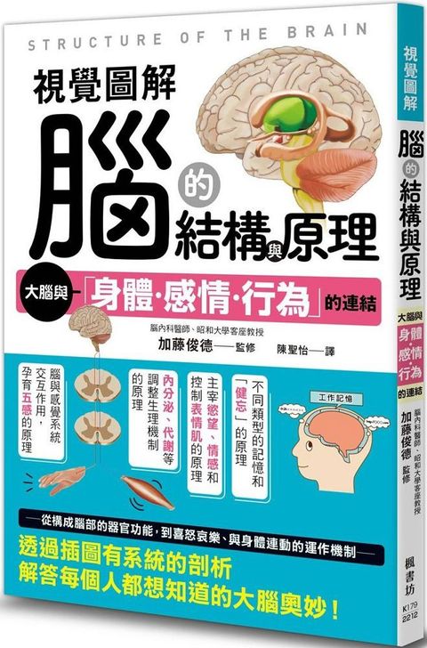 視覺圖解：腦的結構與原理