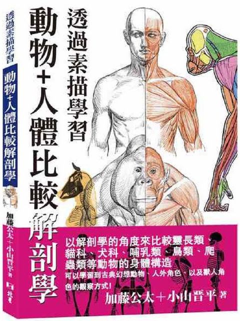 透過素描學習：動物＋人體比較解剖學