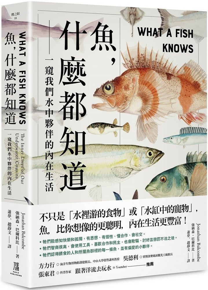  魚，什麼都知道：一窺我們水中夥伴的內在生活