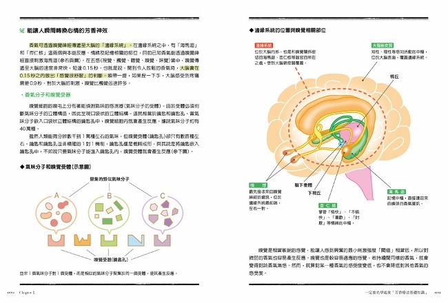 DJAO21-A9009XIE4