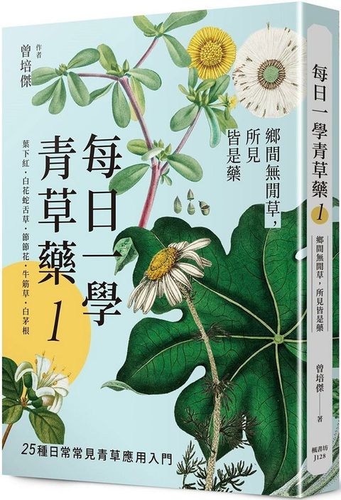 每日一學青草藥 Vol.1：鄉間無閒草，所見皆是藥