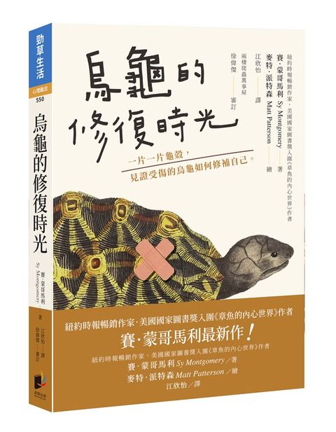 烏龜的修復時光：一片一片龜殼， 見證受傷的烏龜如何修補自己