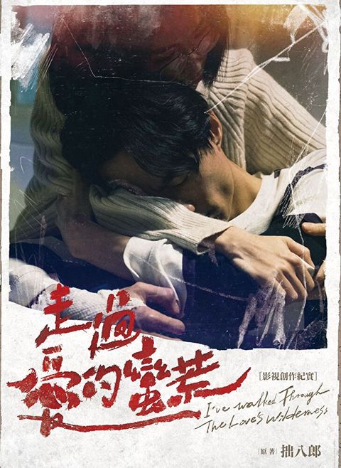走過愛的蠻荒：影視創作紀實
