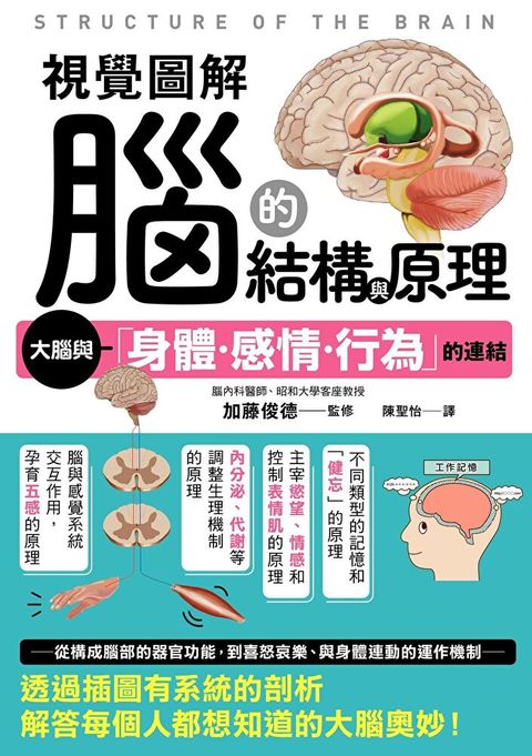 視覺圖解 腦的結構與原理讀墨電子書