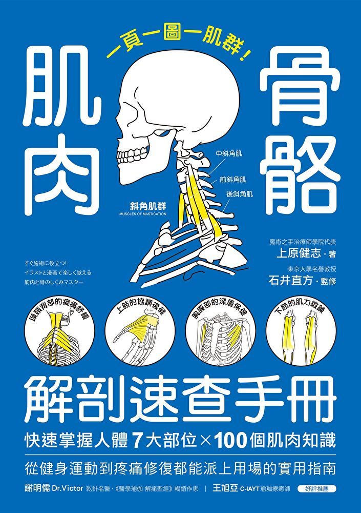 Readmoo 讀墨 肌肉骨骼解剖速查手冊（讀墨電子書）