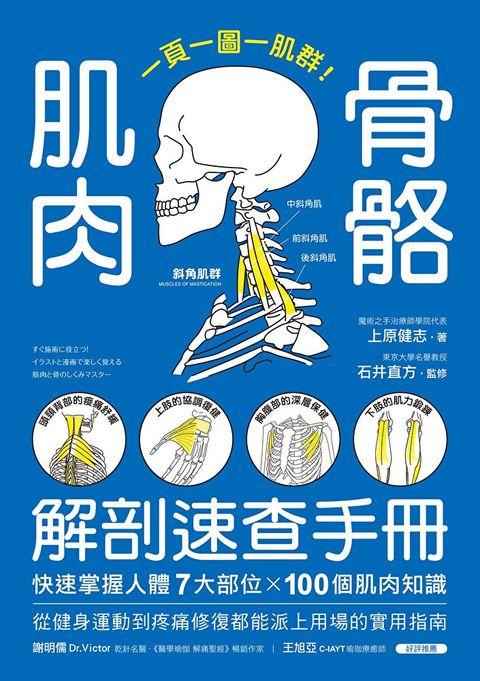 肌肉骨骼解剖速查手冊（讀墨電子書）