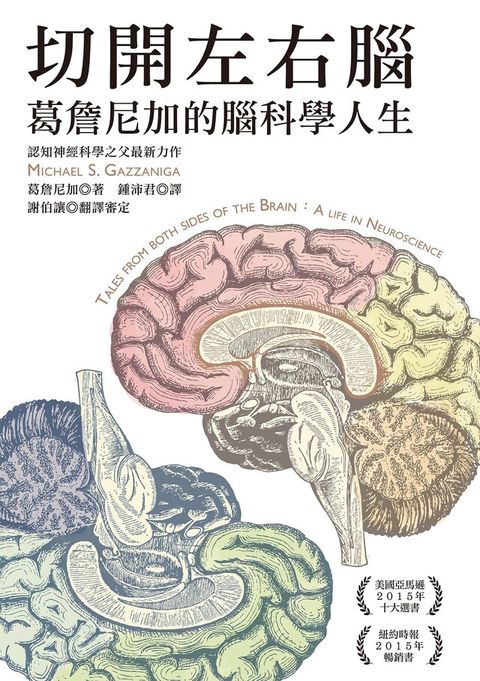 切開左右腦