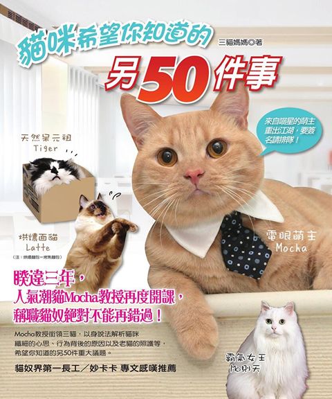 貓咪希望你知道的另50件事