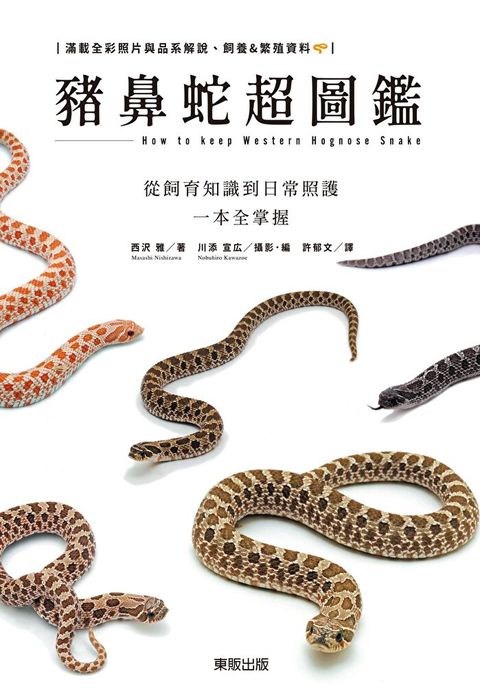 豬鼻蛇超圖鑑：從飼育知識到日常照護一本全掌握
