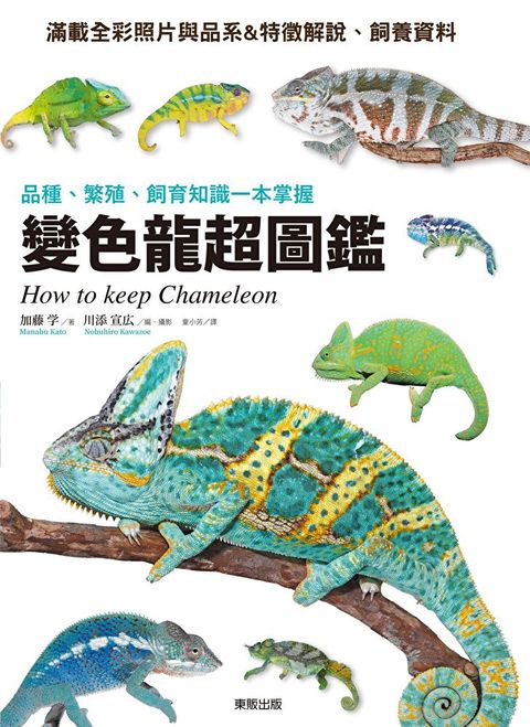 變色龍超圖鑑：品種、繁殖、飼育知識一本掌握