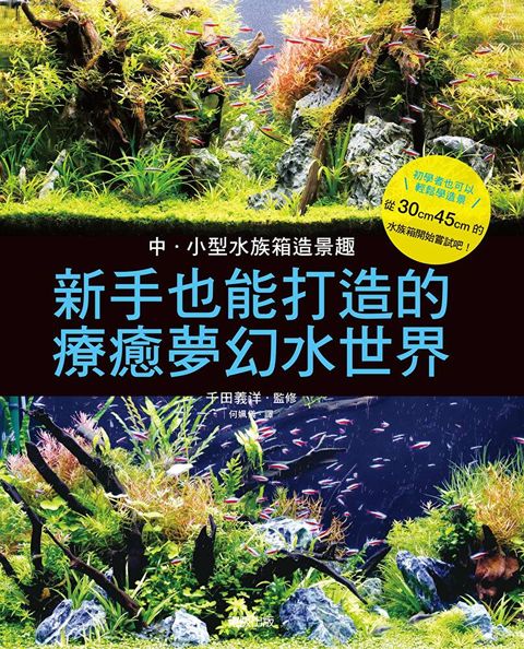 中小型水族箱造景趣：新手也能打造的療癒夢幻水世界