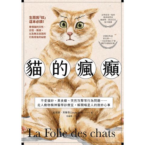 貓的瘋癲