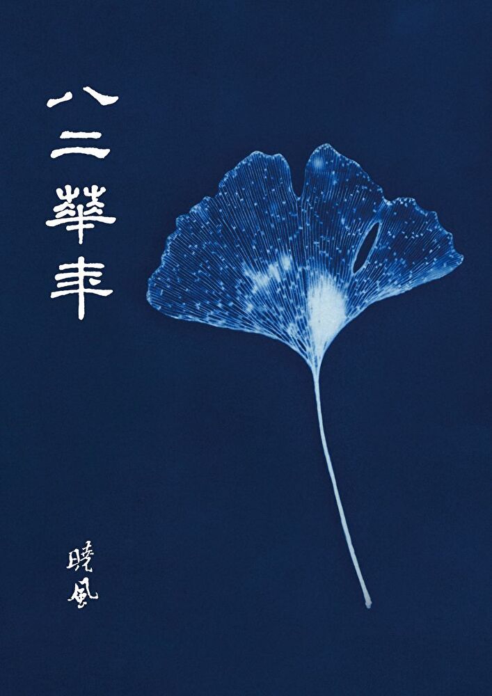  八二華年（讀墨電子書）