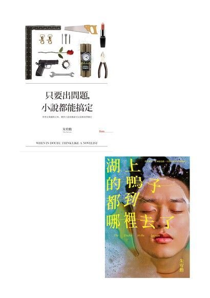  《湖上的鴨子都到哪裡去了》《只要出問題小說都能搞定》套書讀墨電子書