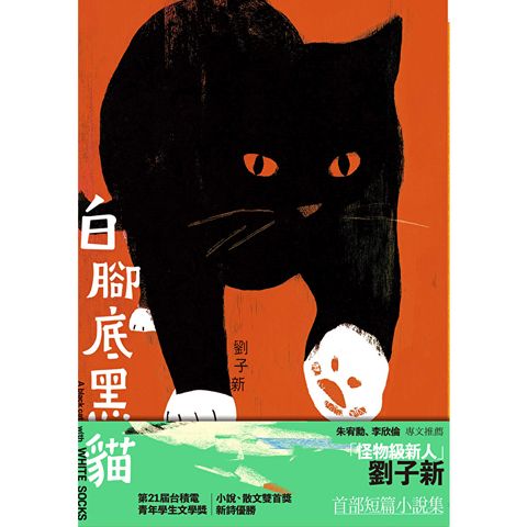 白腳底黑貓