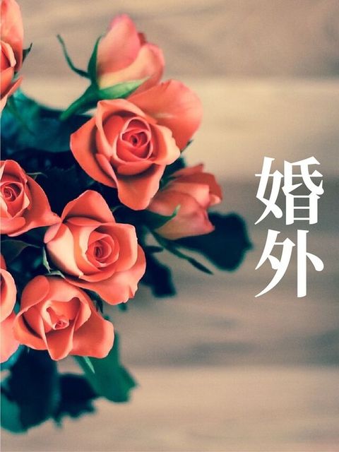 婚外（讀墨有聲書）