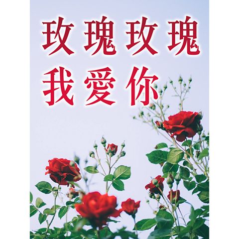 玫瑰玫瑰我愛你