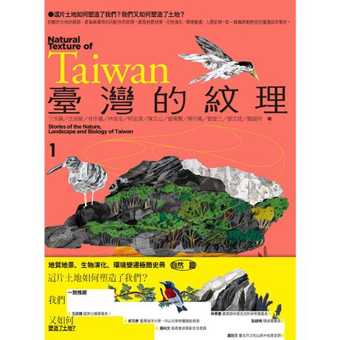 臺灣的紋理1