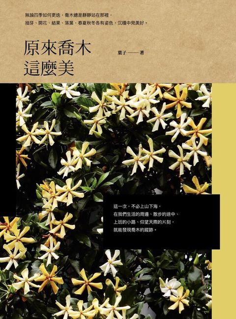 原來喬木這麼美（讀墨電子書）