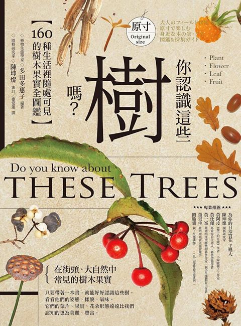 你認識這些樹嗎？