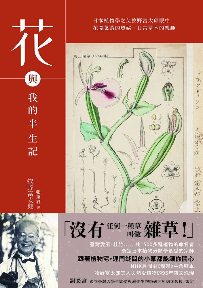  花與我的半生記讀墨電子書