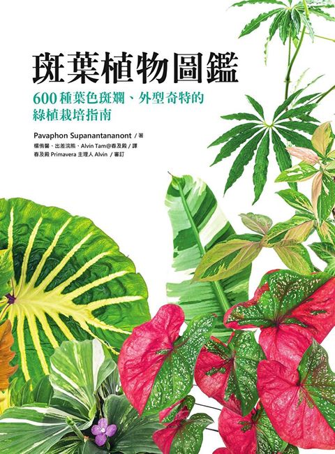 斑葉植物圖鑑