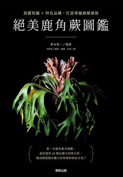 絕美鹿角蕨圖鑑