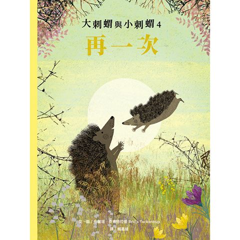 大刺蝟與小刺蝟4：再一次