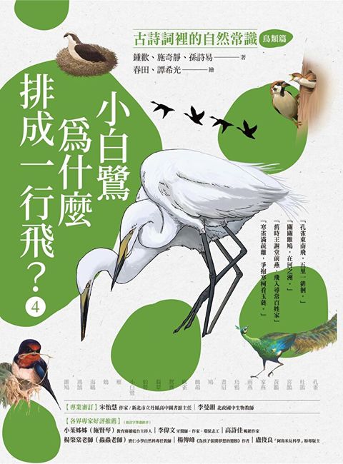 小白鷺為什麼排成一行飛？
