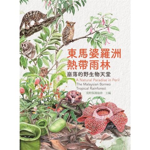 東馬婆羅洲熱帶雨林：崩落的野生物天堂