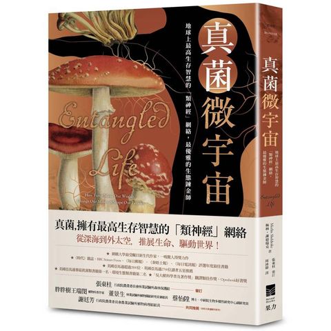 真菌微宇宙：地球上最高生存智慧的「類神經」網絡，最優雅的生態鍊金師