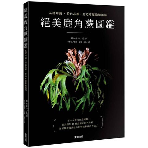 絕美鹿角蕨圖鑑：基礎知識×特色品種，打造專屬綠植風格