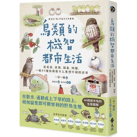 鳥類的機智都市生活：從覓食、求偶、築巢、叫聲，一窺 43 種鳥鄰居令人意想不到的日常