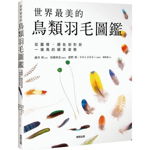 世界最美的鳥類羽毛圖鑑：從圖樣、顏色到形狀一窺鳥的絕美姿態