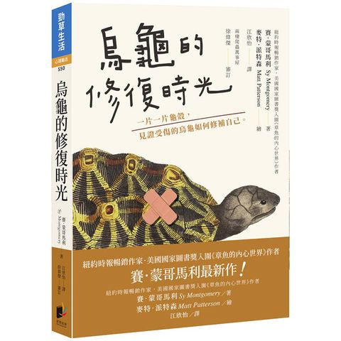 烏龜的修復時光：一片一片龜殼，見證受傷的烏龜如何修補自己